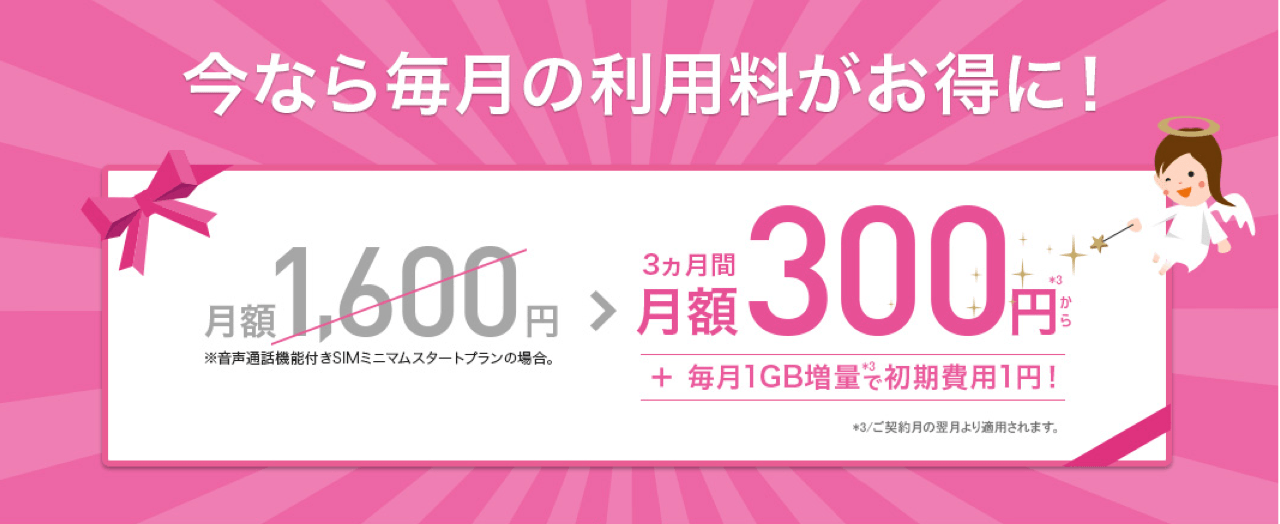 IIJmioの月額300円キャンペーンです。さらに初期費用1円&12ヵ月間1GB増量の特典も付いてきます。